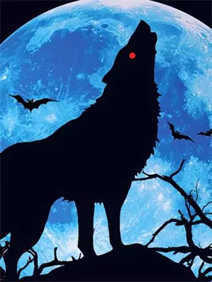 《侯府主母穿成恋爱脑后，我靠前夫逆袭了》苒苒时景晏火爆新书_侯府主母穿成恋爱脑后，我靠前夫逆袭了(苒苒时景晏)免费小说