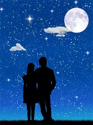 结婚一年，我发现老婆是顶级杀手(陈天雄沈星若)最新免费小说_完本小说免费阅读结婚一年，我发现老婆是顶级杀手陈天雄沈星若