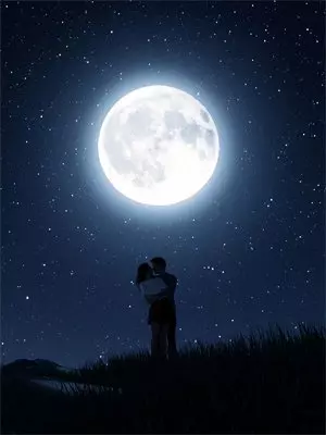 与高冷校花同居，她躺我怀里撒娇(沈夜温宁)免费小说完结版_免费小说免费阅读与高冷校花同居，她躺我怀里撒娇沈夜温宁