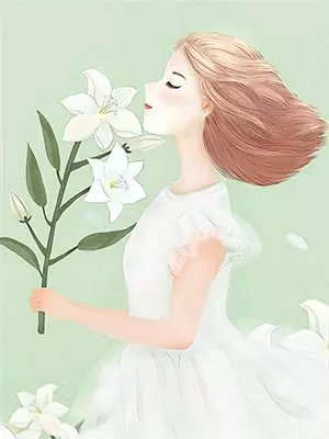 海贼：双魂红心，黑暗罗西南迪罗西南迪托雷波尔最新章节在线阅读_罗西南迪托雷波尔全本免费在线阅读